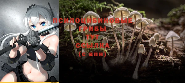 наркотики Богородицк