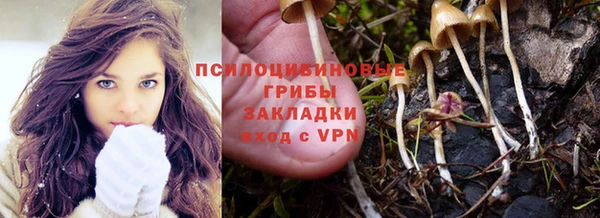 винт Богородск