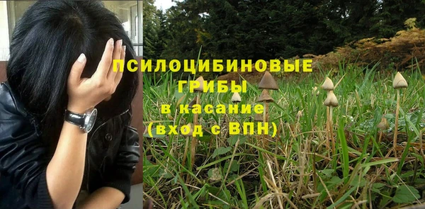 наркотики Богородицк