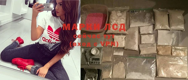 прущие грибы Белокуриха