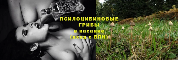 винт Богородск