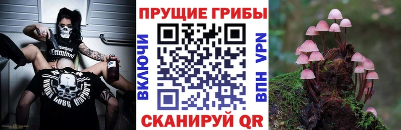 Галлюциногенные грибы ЛСД  Дмитров 